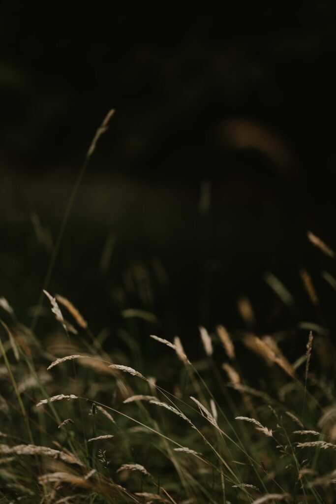 107a0c094175d842488569bde3e2a4fca720a4fd 683x1024