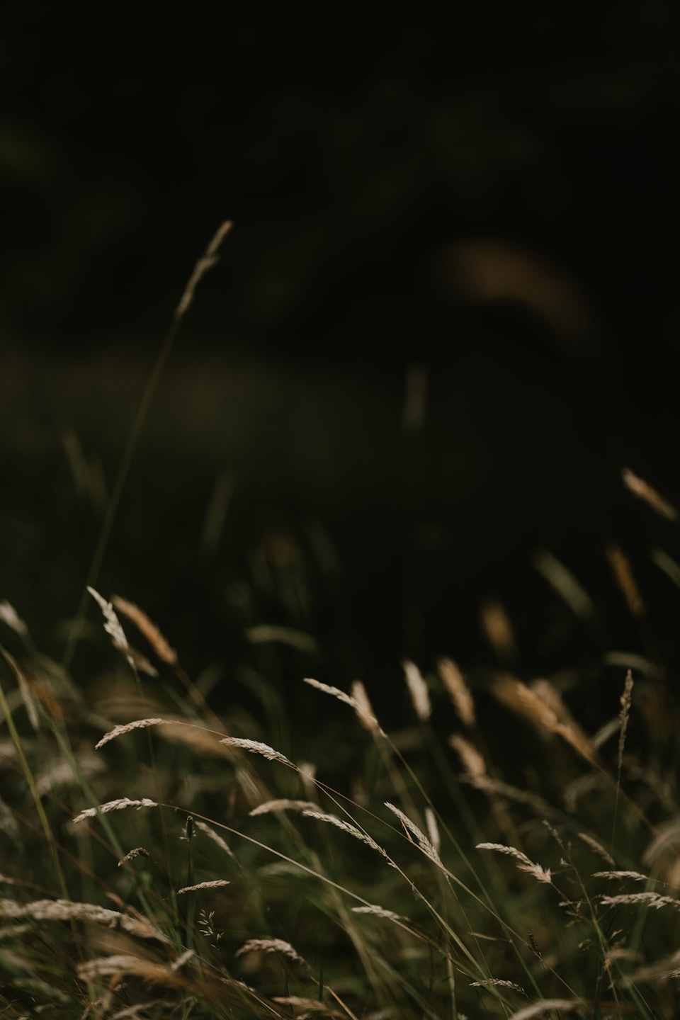 107a0c094175d842488569bde3e2a4fca720a4fd