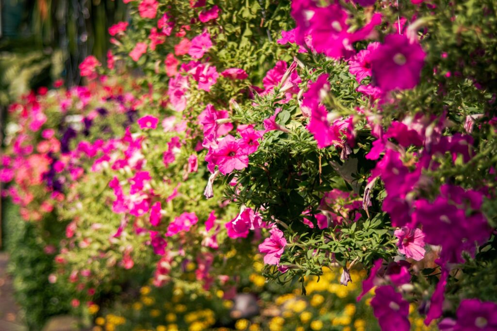 135d4bca53409d7ddbf4f3c5edaacea2ea969e2f 1024x683