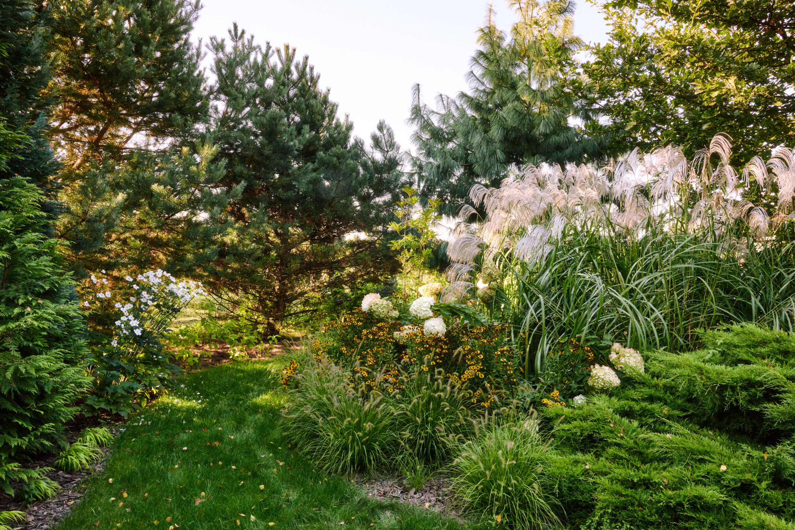 Warzywna 0035 Scaled