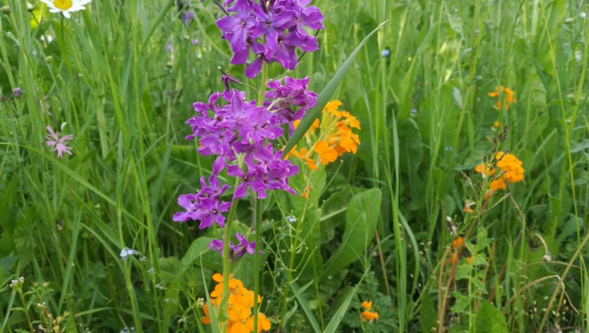 205338755 257456589513293 1740751631795668759 n