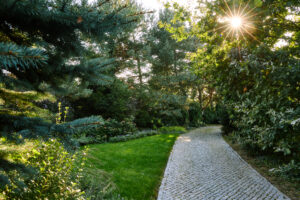 Warzywna 0025 300x200