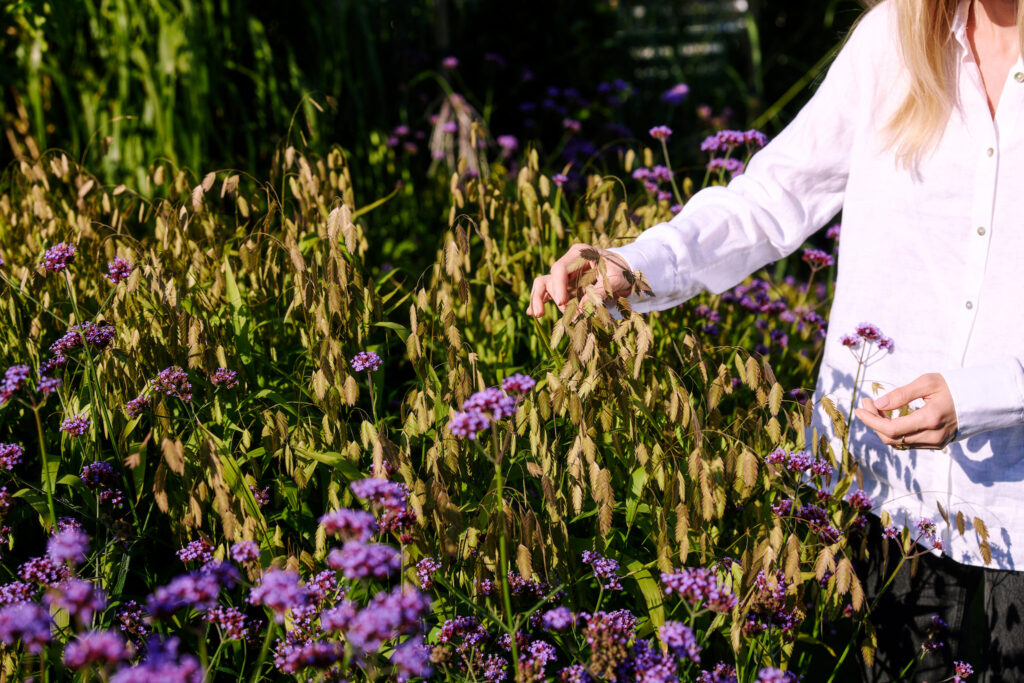 Jasminowa26i 0033 1024x683