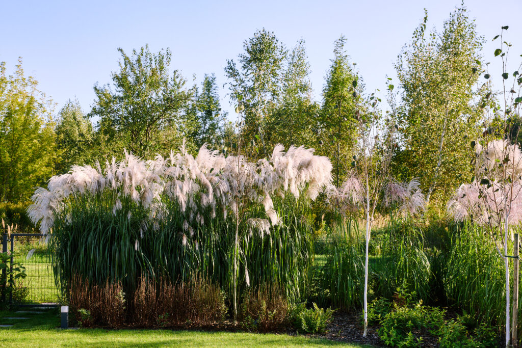 Jasminowa26i 0074 1024x683