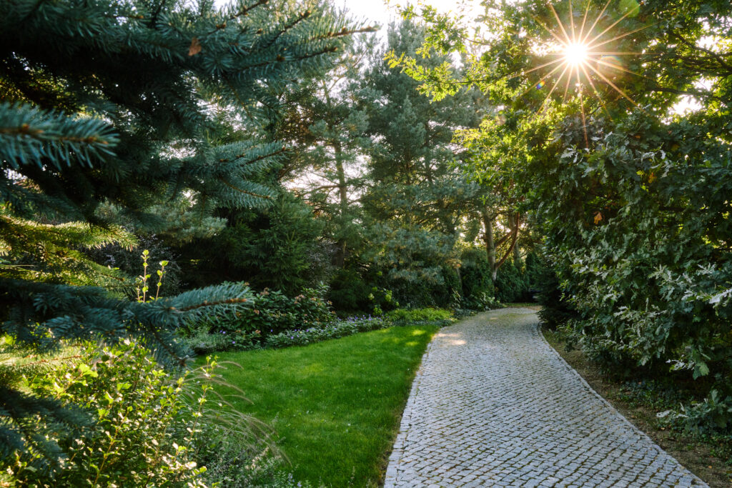 Warzywna 0025 1 1024x683