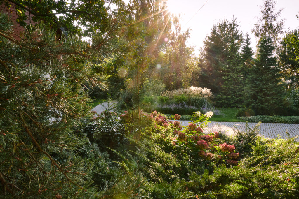 Warzywna 0043 1024x683