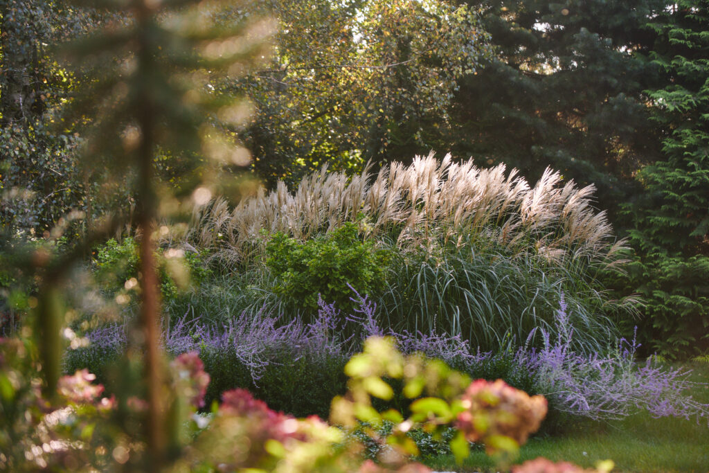 Warzywna 0047 1024x683