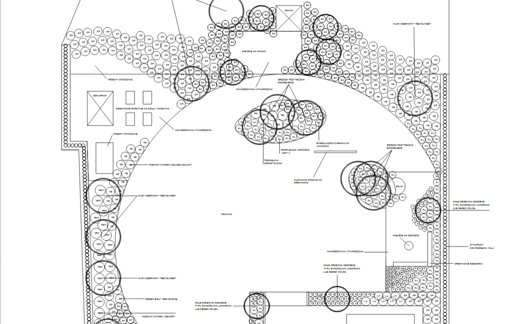 P1 1024x652