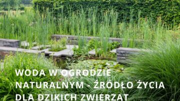 WODA W OGRODZIE NATURALNYM – ŹRÓDŁO ŻYCIA DLA DZIKICH ZWIERZĄT