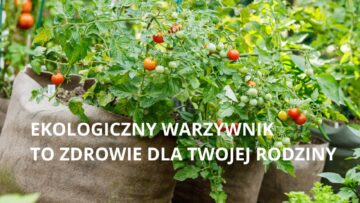 EKOLOGICZNE WARZYWNIAKI – JAK UPRAWIAĆ WARZYWA W ZGODZIE Z NATURĄ
