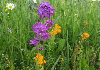 205338755 257456589513293 1740751631795668759 N Rj8xtgaz5159t47mjn0tjw9j79vurxm6lf1l7oixaq